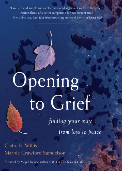 Cover image for book Opening to Grief