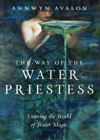 Cover image: The Way of the Water Priestess 9781578637249