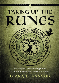 Cover image: Taking Up the Runes 9781578637294