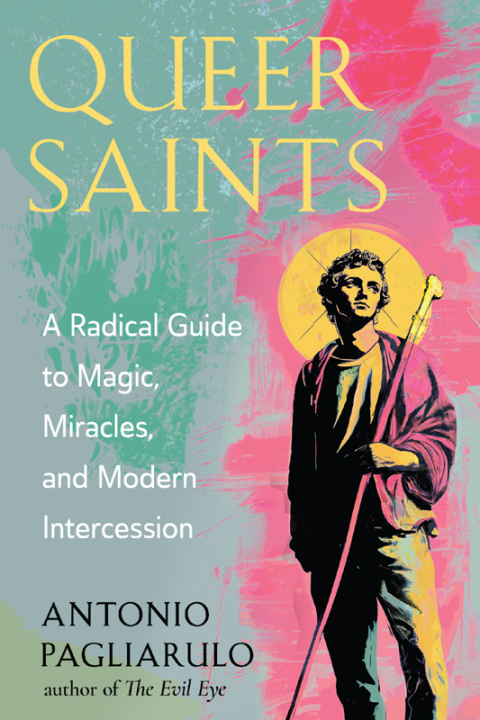 Cover image for book Queer Saints