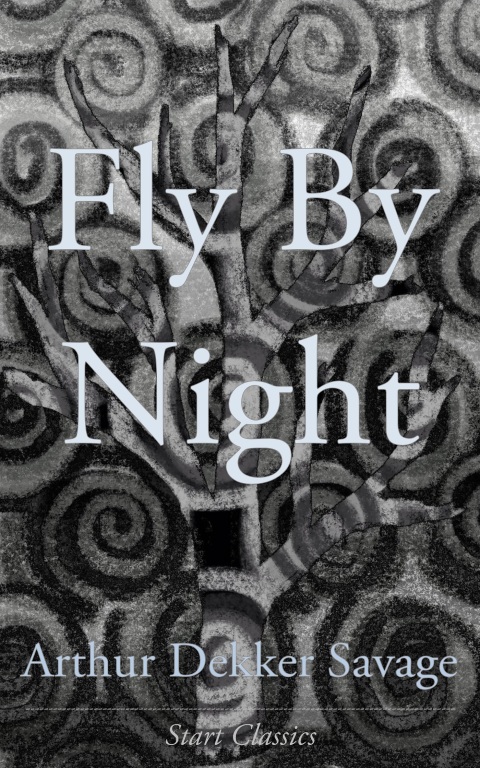Cover image for book Fly By Night