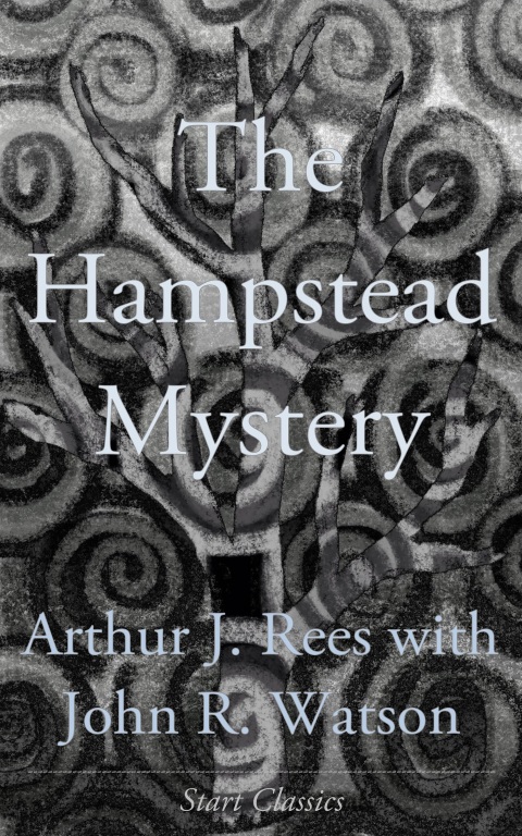 Cover image for book The Hampstead Mystery