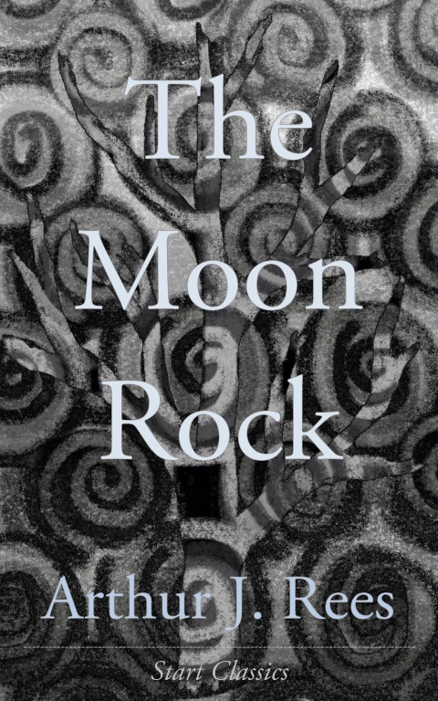 Cover image for book The Moon Rock