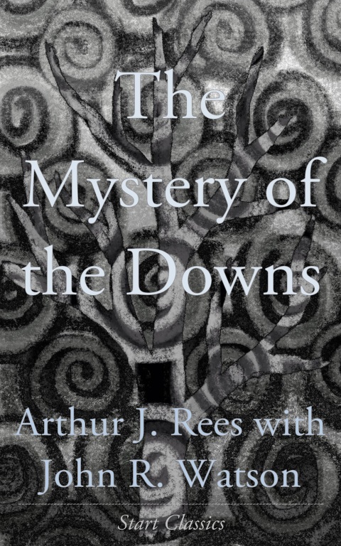 Cover image for book The Mystery of the Downs