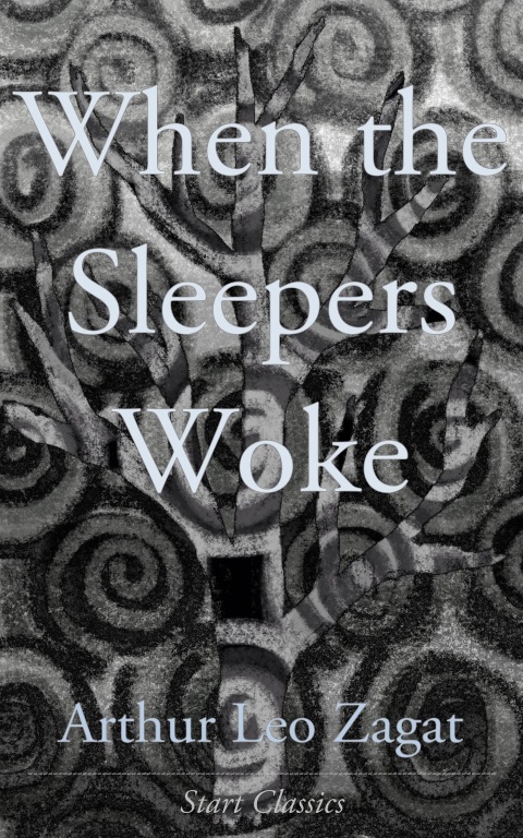 Cover image for book When the Sleepers Woke