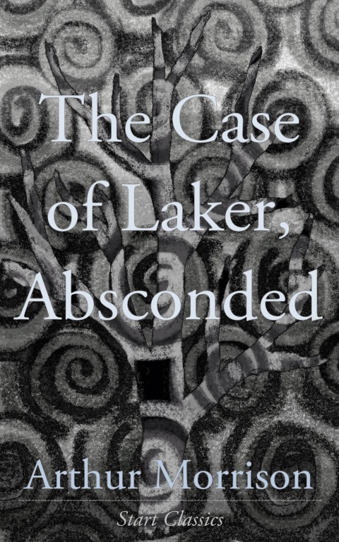Cover image for book The Case of Laker, Absconded