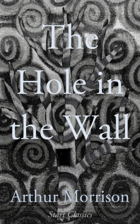Cover image for book The Hole in the Wall