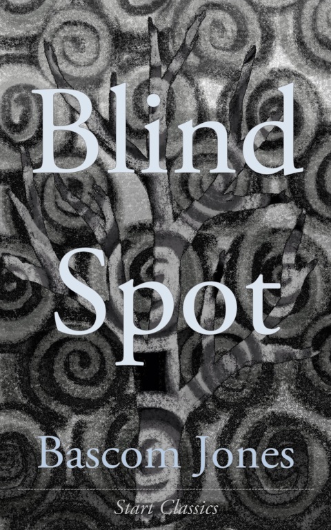 Cover image for book Blind Spot