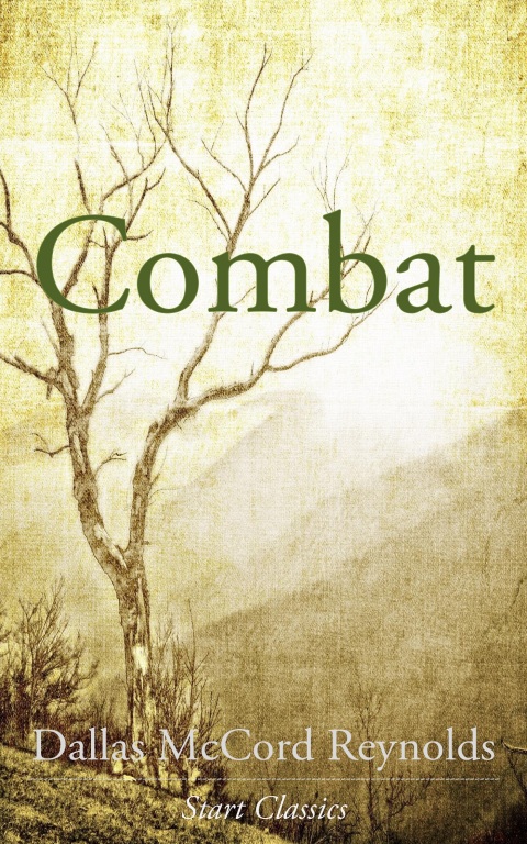 Cover image for book Combat