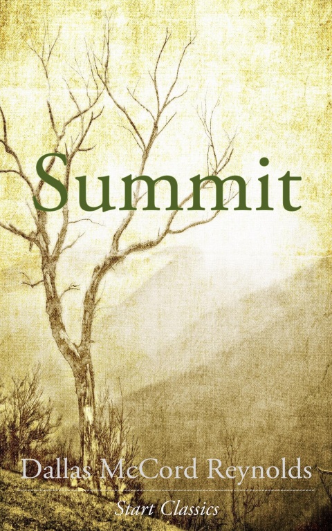 Cover image for book Summit
