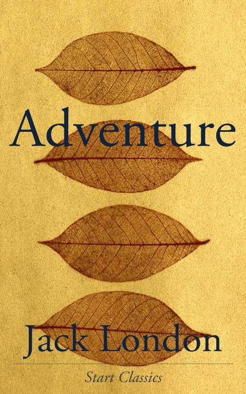 Cover image for book Adventure
