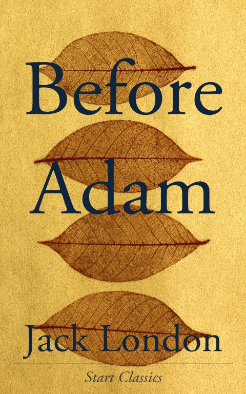 Cover image for book Before Adam