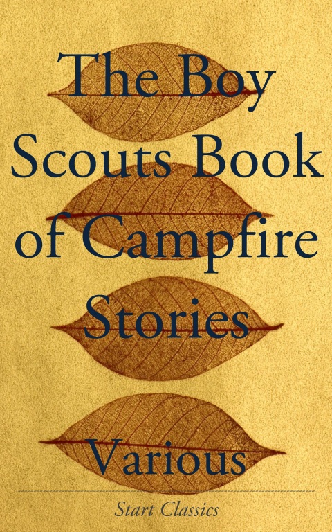 Cover image for book The Boy Scouts Book of Campfire Stori