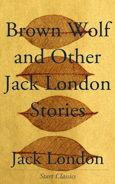 Cover image for book Brown Wolf and Other Jack London Stories