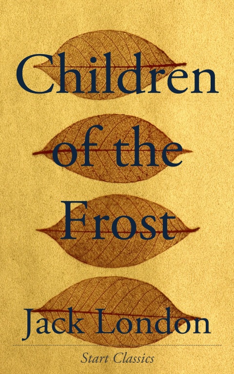 Cover image for book Children of the Frost