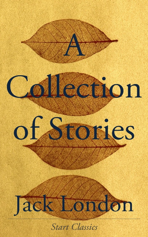 Cover image for book A Collection of Stories
