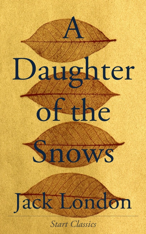 Cover image for book A Daughter of the Snows