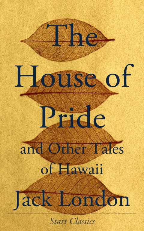 Cover image for book The House of Pride