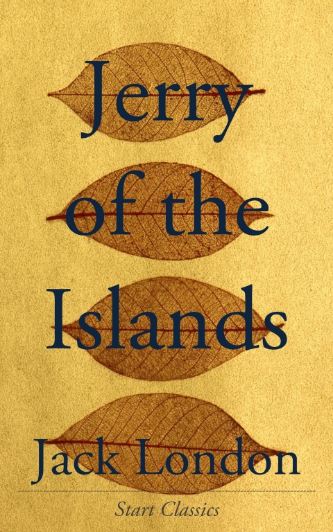 Cover image for book Jerry of the Islands