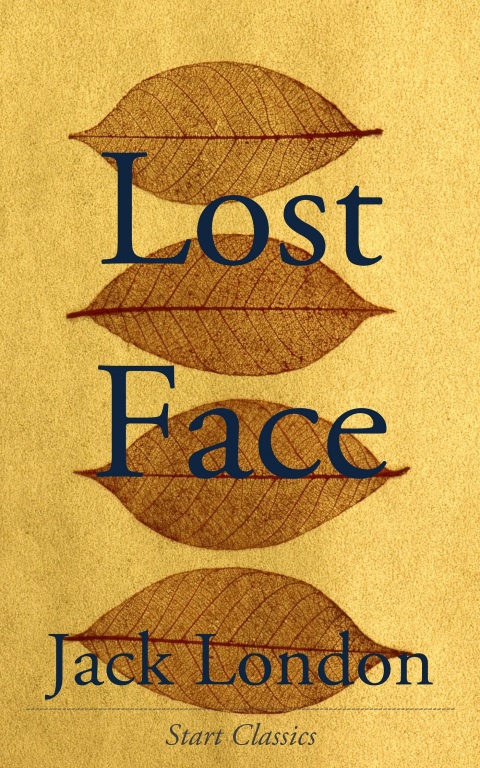 Cover image for book Lost Face