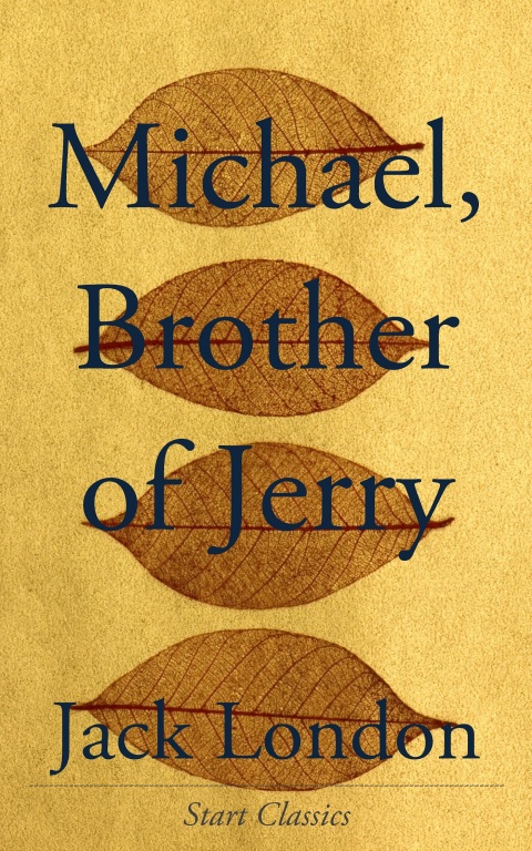 Cover image for book Michael, Brother of Jerry