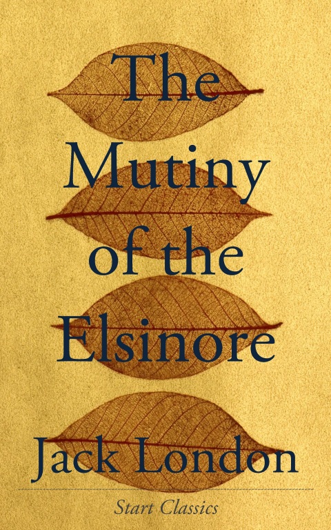 Cover image for book The Mutiny of the Elsinore