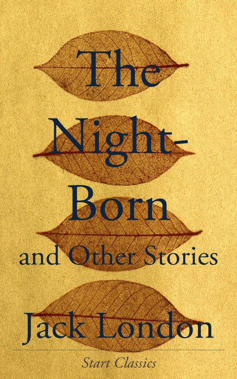 Cover image for book The Night-Born