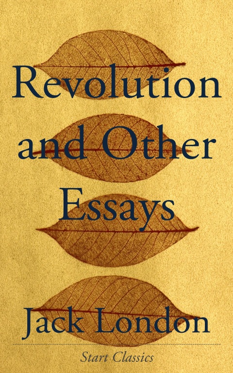 Cover image for book Revolution and Other Essays