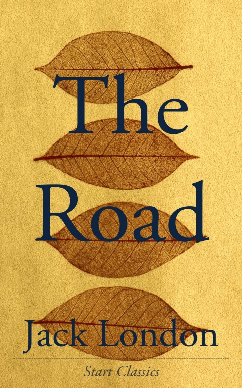 Cover image for book The Road