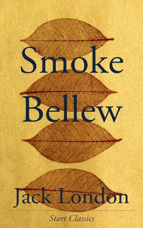 Cover image for book Smoke Bellew