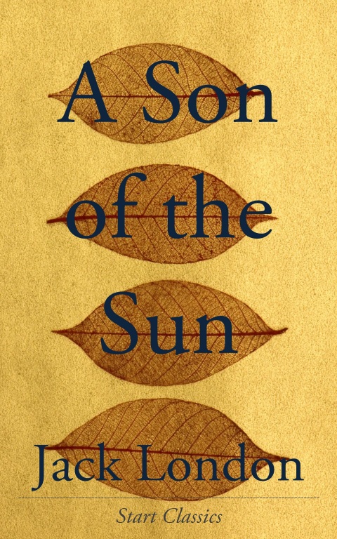 Cover image for book A Son of the Sun