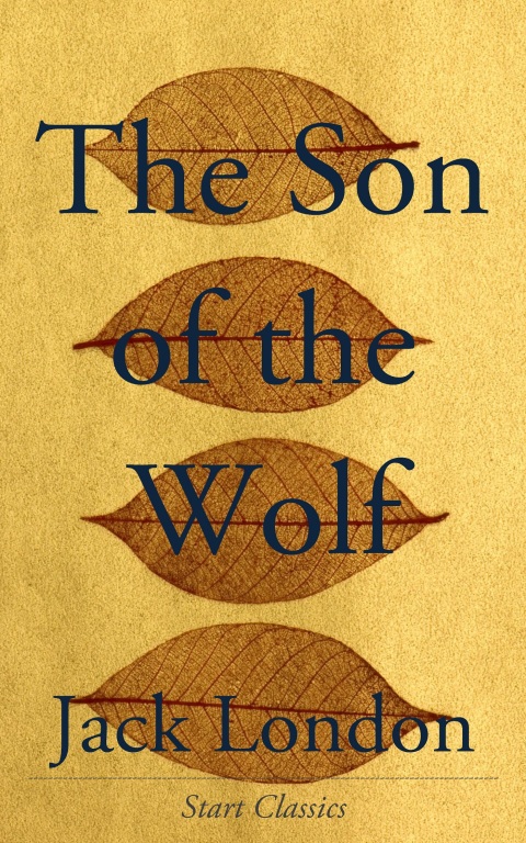 Cover image for book The Son of the Wolf