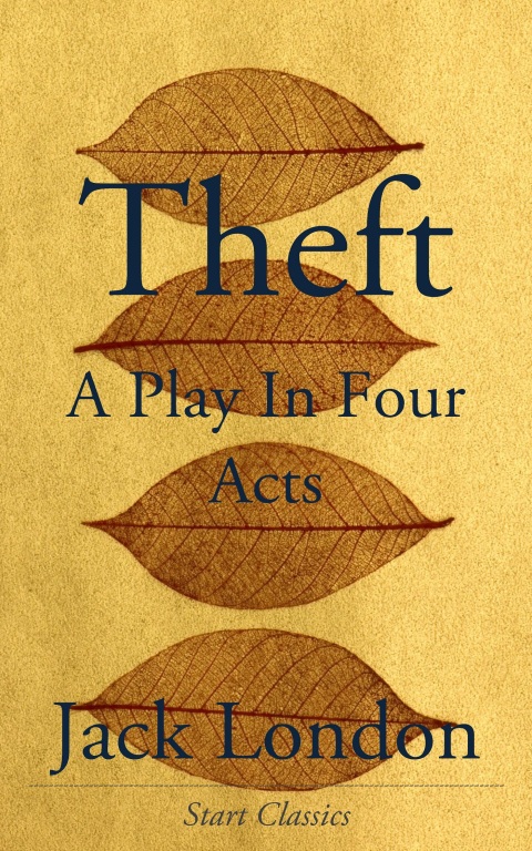 Cover image for book Theft