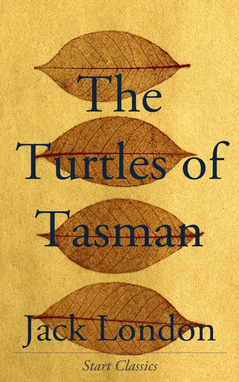 Cover image for book The Turtles of Tasman