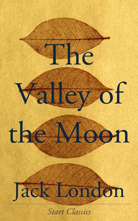 Cover image for book The Valley of the Moon