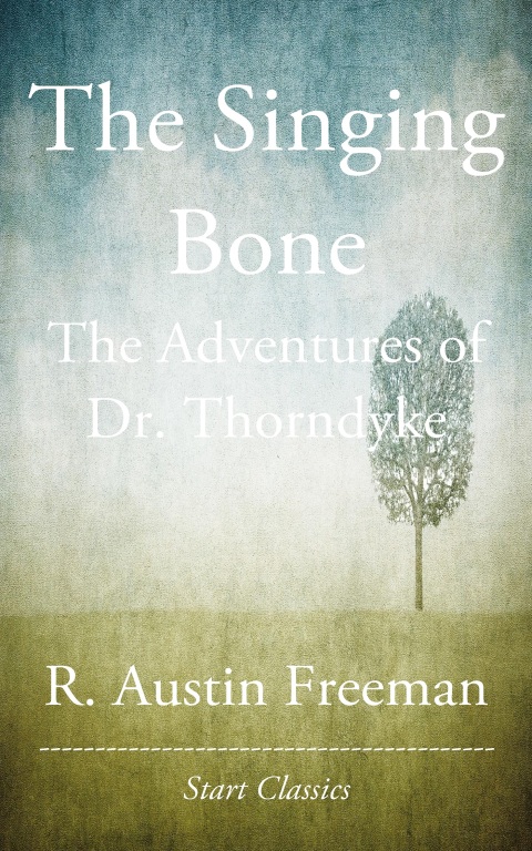 Cover image for book The Singing Bone
