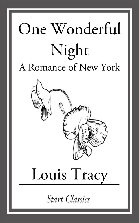 Cover image for book One Wonderful Night
