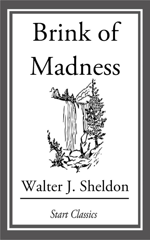 Cover image for book Brink of Madness