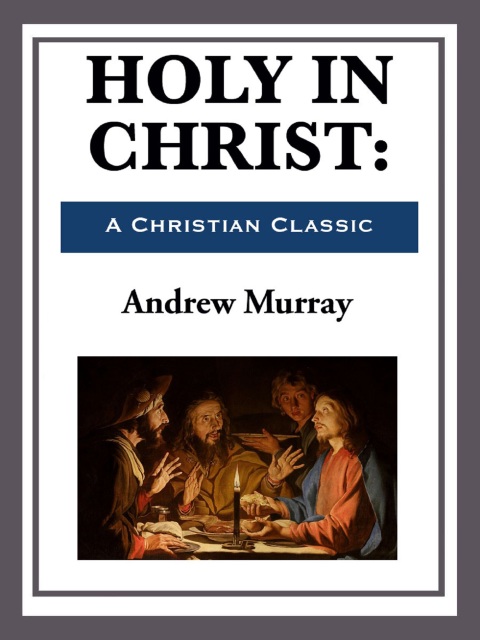 Cover image for book Holy in Christ
