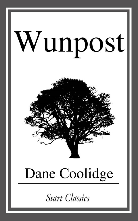 Cover image for book Wunpost