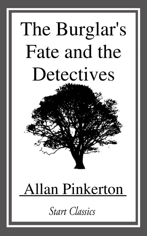 Cover image for book The Burglar's Fate and the Detectives