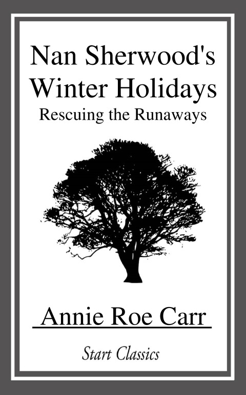 Cover image for book Nan Sherwood's Winter Holidays