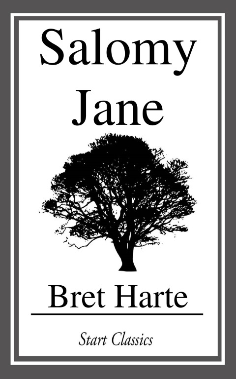 Cover image for book Salomy Jane