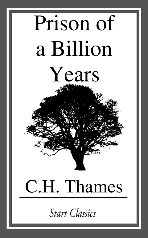 Cover image for book Prison of a Billion Years