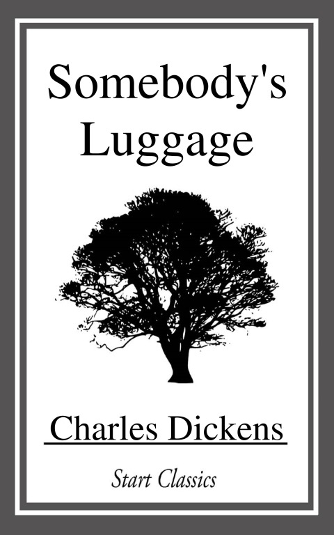 Cover image for book Somebody's Luggage