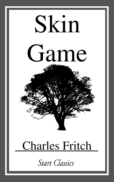 Cover image for book Skin Game