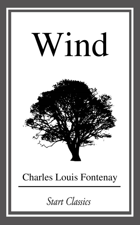 Cover image for book Wind