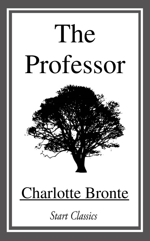 Cover image for book The Professor