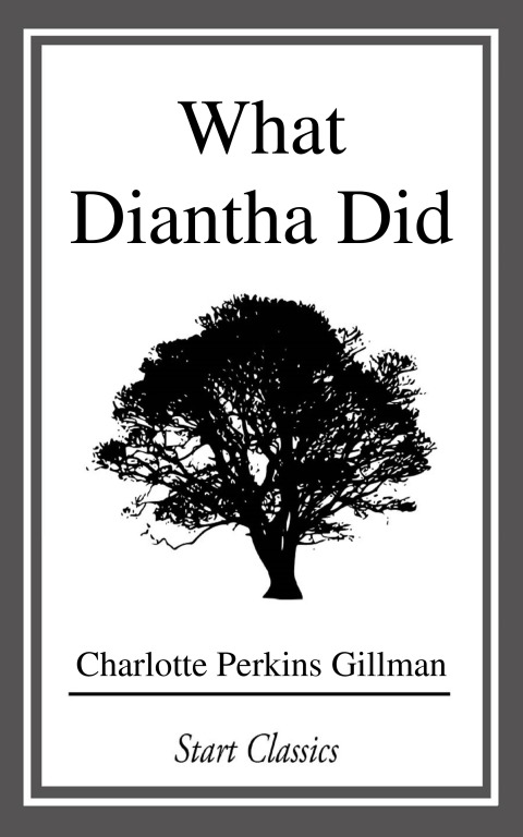Cover image for book What Diantha Did