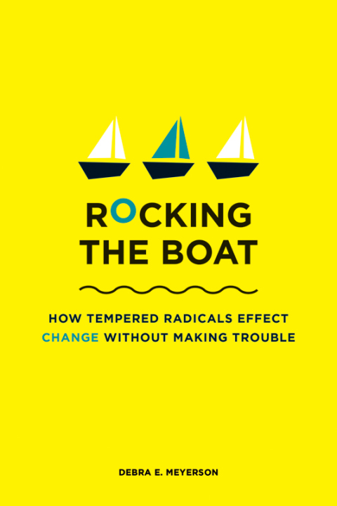 Cover image for book Rocking the Boat